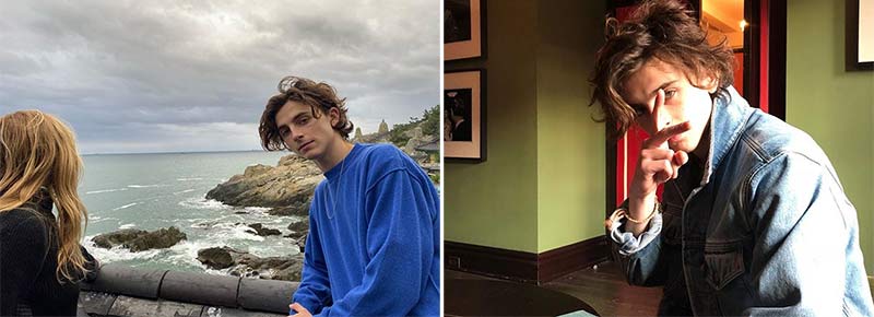 Timoth&eacute;e Chalamet bio