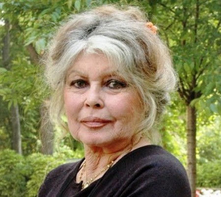 Brigitte Bardot Family: Husband, Son, Sister, Parents | Celebrity Family