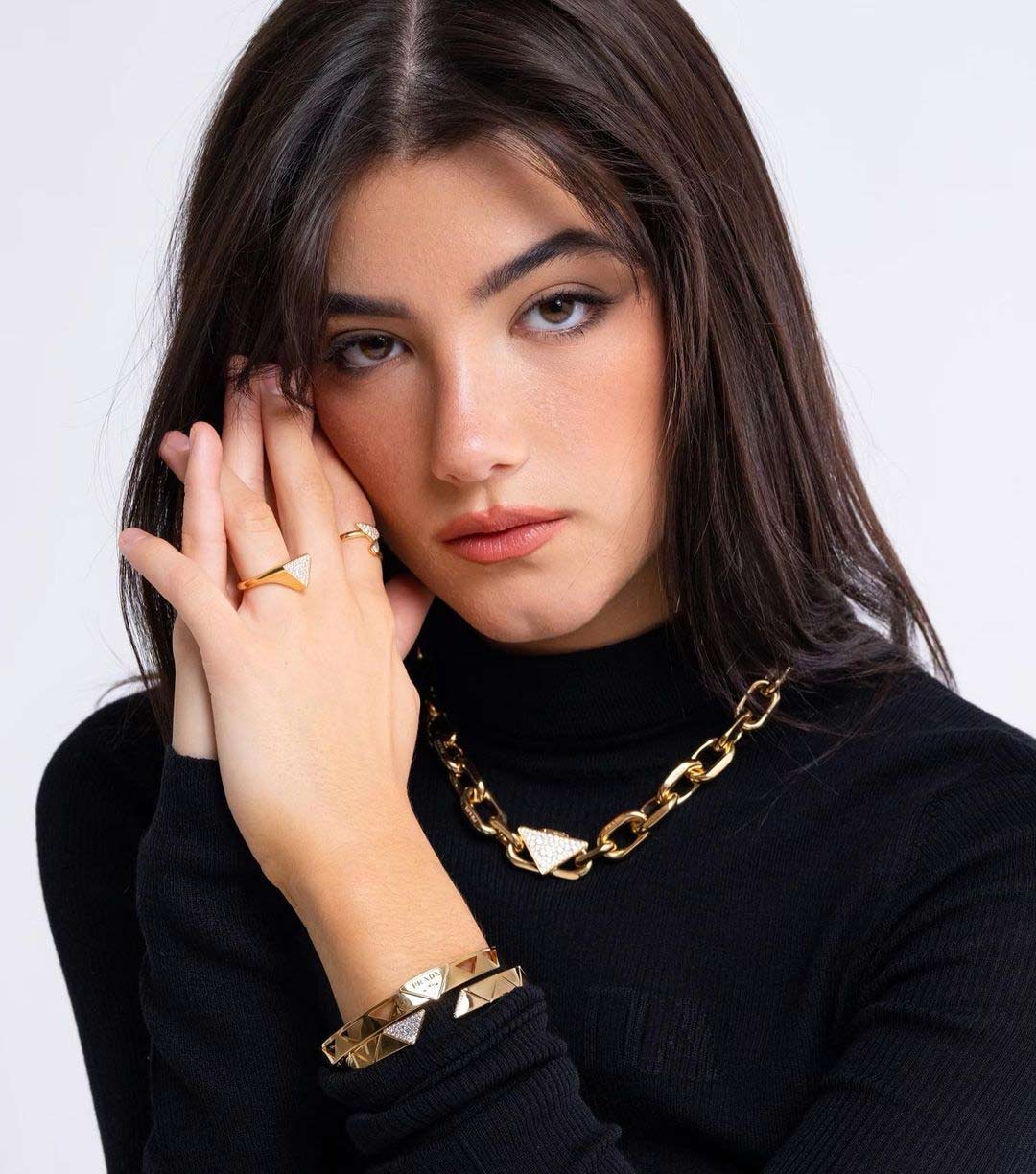 Charli-D&rsquo;Ameli sister Dixie D&rsquo;Amelio